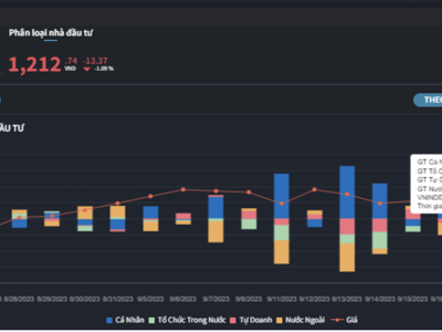 Bất chấp xả hàng, nhà đầu tư cá nhân vẫn mua ròng mạnh gần 540 tỷ đồng