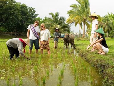 Làm du lịch nông nghiệp cần “độc, lạ” không trùng lắp 