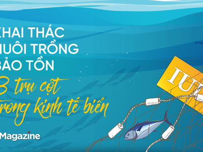 Khai thác - Nuôi trồng -  Bảo tồn: 3 trụ cột trong kinh tế biển