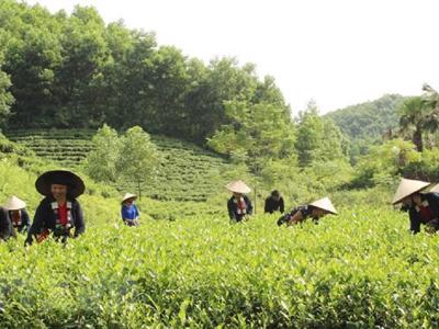 Liên kết hạ tầng, chính sách để thúc đẩy vùng trung du và miền núi Bắc Bộ phát triển