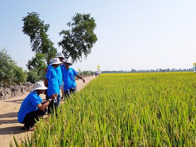 An Giang đẩy mạnh tín dụng chính sách phục vụ người dân