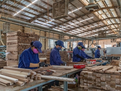 Phụ nữ bảo vệ rừng vẫn thiệt thòi trong chi trả dịch vụ môi trường rừng