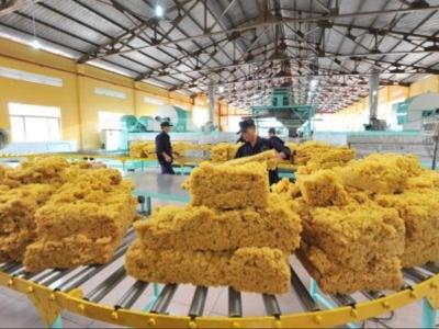 Xuất khẩu cao su “bỏ trứng vào một giỏ” nhưng giá bán thấp nhất so với các đối thủ