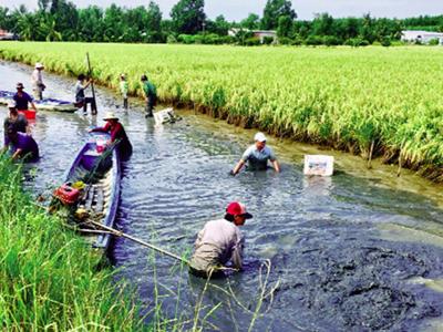 Phát triển ngành hàng tôm ít phát thải và bền vững