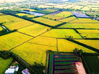 Năm 2023: Đồng bằng sông Cửu Long thu hút khoảng 100 nghìn tỷ đồng đầu tư vào nông nghiệp 