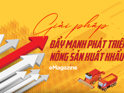 Giải pháp đẩy mạnh phát triển nông sản xuất khẩu