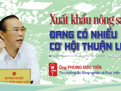 Xuất khẩu nông sản đang có nhiều cơ hội thuận lợi