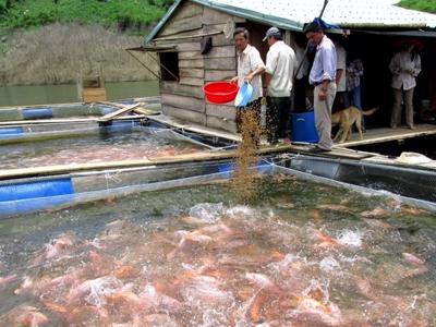 Quảng Nam yêu cầu đảm bảo sinh kế bền vững cho người dân lưu vực hồ thủy điện