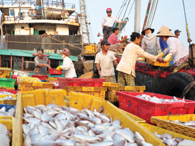 Phó Thủ tướng Trần Lưu Quang: Mục tiêu cao nhất là gỡ được “thẻ vàng” IUU