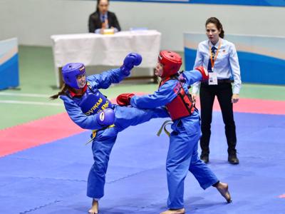 Vovinam được công nhận là di sản văn hóa phi vật thể quốc gia