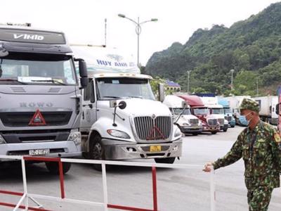 Xe các nước ASEAN vào Việt Nam bắt buộc phải mua bảo hiểm, nhận bồi thường có lo rắc rối?