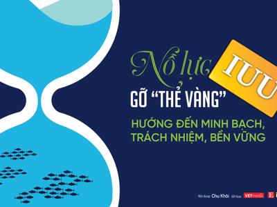 [Interactive]: Nỗ lực gỡ “thẻ vàng” IUU, hướng đến minh bạch, trách nhiệm, bền vững