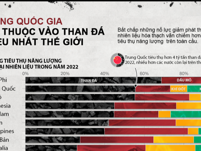 Những quốc gia phụ thuộc vào than đá nhiều nhất thế giới, Việt Nam trong top 5