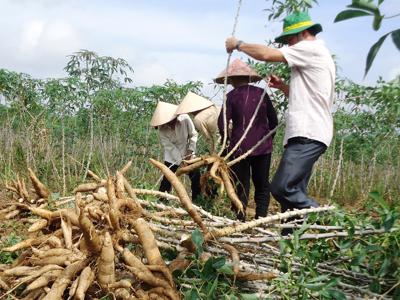 Cuối năm doanh nghiệp vẫn mòn mỏi xin hoàn thuế