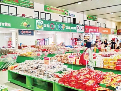 Vietnam boasts over 11,000 OCOP products