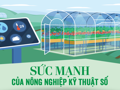 Sức mạnh của nông nghiệp kỹ thuật số