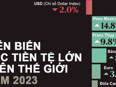 Giá trị các đồng tiền lớn thay đổi thế nào trong năm 2023?