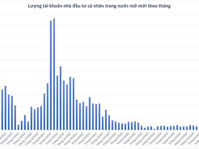 Nhà đầu tư cá nhân mở tài khoản tăng vọt trở lại gần 156.000 trong tháng 12/2023