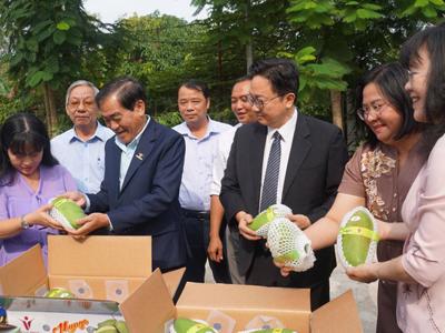 An Giang exports first batches of mangoes to Australia & US