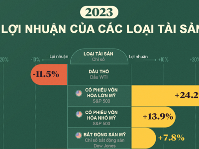 Loại tài sản nào mang lại lợi nhuận lớn nhất trong năm 2023?