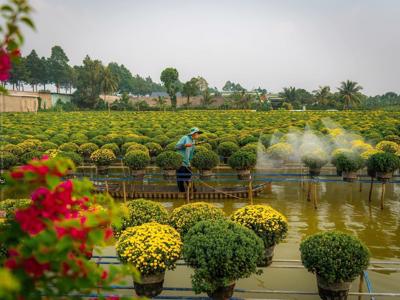 Tết Nguyên đán 2024: Tour nội “thua trên sân nhà"?