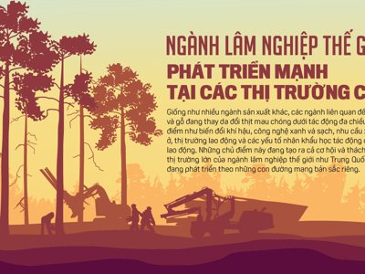 Ngành lâm nghiệp thế giới phát triển mạnh tại các thị trường chính