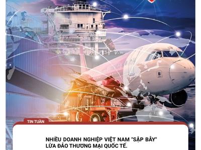 Nhiều doanh nghiệp Việt “sập bẫy” lừa đảo thương mại quốc tế