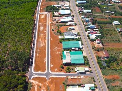 Tháng 3/2024, Gia Lai đấu giá 85 lô đất