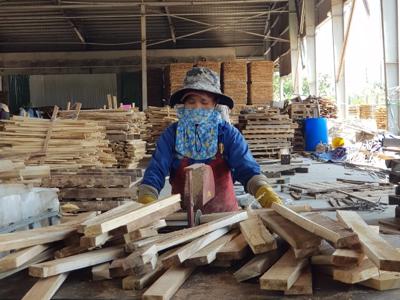 January agro-forestry-fisheries exports up 79%