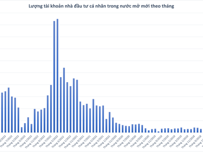 Gần Tết, nhà đầu tư cá nhân vẫn mở mới hơn 126 nghìn tài khoản chứng khoán