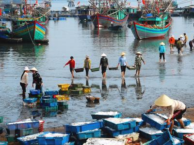 Kích hoạt Chương trình quốc gia bảo vệ và phát triển nguồn lợi thủy sản đến năm 2030