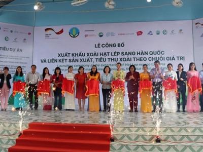  An Giang xuất khẩu 13 tấn xoài hạt lép  sang thị trường Hàn Quốc