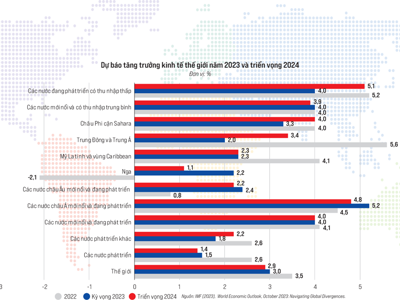 Tăng trưởng kinh tế thế giới năm 2023 và triển vọng 2024
