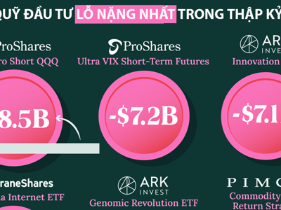 12 quỹ đầu tư lỗ nặng nhất trong thập kỷ qua