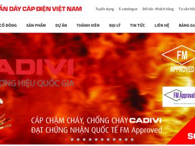 CAV lên kế hoạch huỷ niêm yết trên HOSE