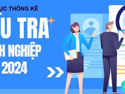 Bổ sung thông tin lao động nước ngoài trong Điều tra Doanh nghiệp 2024