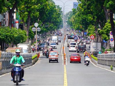 TP.HCM sắp di dời, đốn hạ hơn 450 cây xanh để làm metro số 2