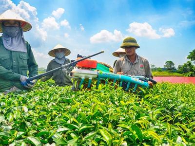 Bổ sung chính sách tăng khả năng hấp thụ vốn cho khu vực kinh tế tập thể