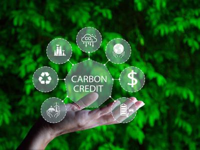 Vietnam Intensifies Carbon Credit Management to Fulfill Nationally Determined Contributions