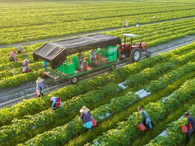 Towards a green economy