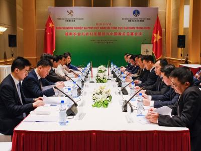 Xuất khẩu nông sản sang Trung Quốc tăng trưởng mạnh mẽ nhờ những Nghị định thư