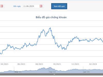 NVL lùi ngày hoàn thành chuyển đổi lô trái phiếu 300 triệu USD