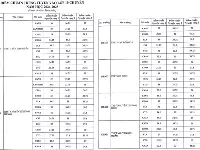 Thành phố Hồ Chí Minh: Điểm chuẩn lớp 10 chuyên có nhiều biến động