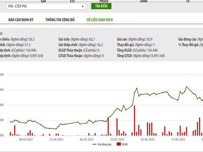 Quỹ ngoại HDI Global SE đăng ký mua vào 7 triệu cổ phiếu PVI