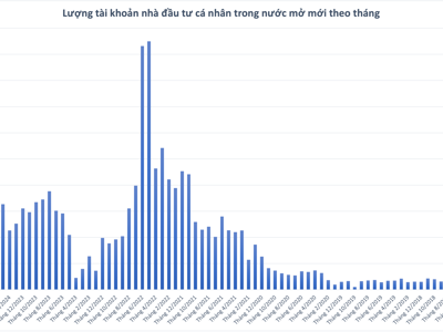 Hết tháng 6, có 8 triệu tài khoản chứng khoán, hơn 99% là của nhà đầu tư cá nhân trong nước