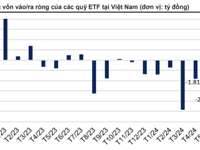 Các ETF đua nhau báo lỗ ở Việt Nam, đây là lý do khiến bị rút ròng 14 nghìn tỷ? 