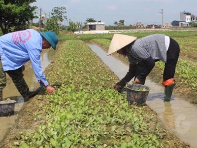 Hải Dương đề xuất trợ cấp từ 1,6 triệu đồng hằng tháng cho hộ nghèo không có khả năng lao động