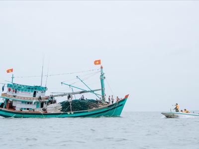 Quyết tâm gỡ thẻ vàng, các địa phương triển khai các giải pháp 