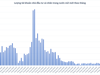 Kỷ lục 2 năm: Nhà đầu tư trong nước mở mới 330.000 tài khoản chứng khoán trong tháng 7