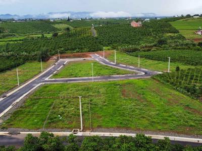 Gia Lai: Hàng loạt vi phạm trong quản lý rừng và đất bàn giao về địa phương